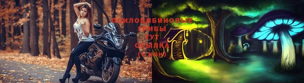 шишки Липки