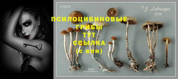 MDMA Premium VHQ Лихославль