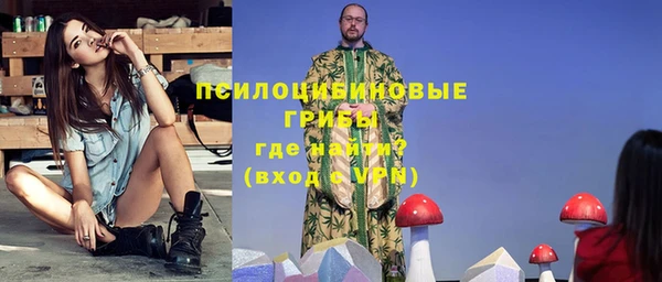 шишки Липки