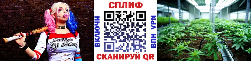 Купить где  Приморск  Шишки марихуана планчик 